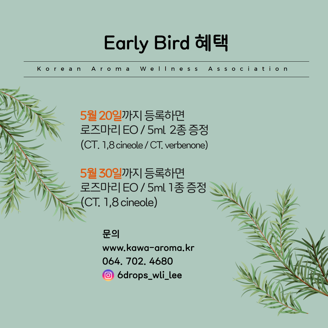 2025KAWA학술대회 6.jpg 2025KAWA학술대회 6.jpg